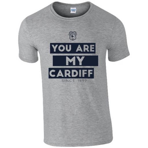 Personalised Cardiff City FC Chant T-Shirt.