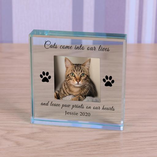 Personalised Glass Token - Cat Paw Prints